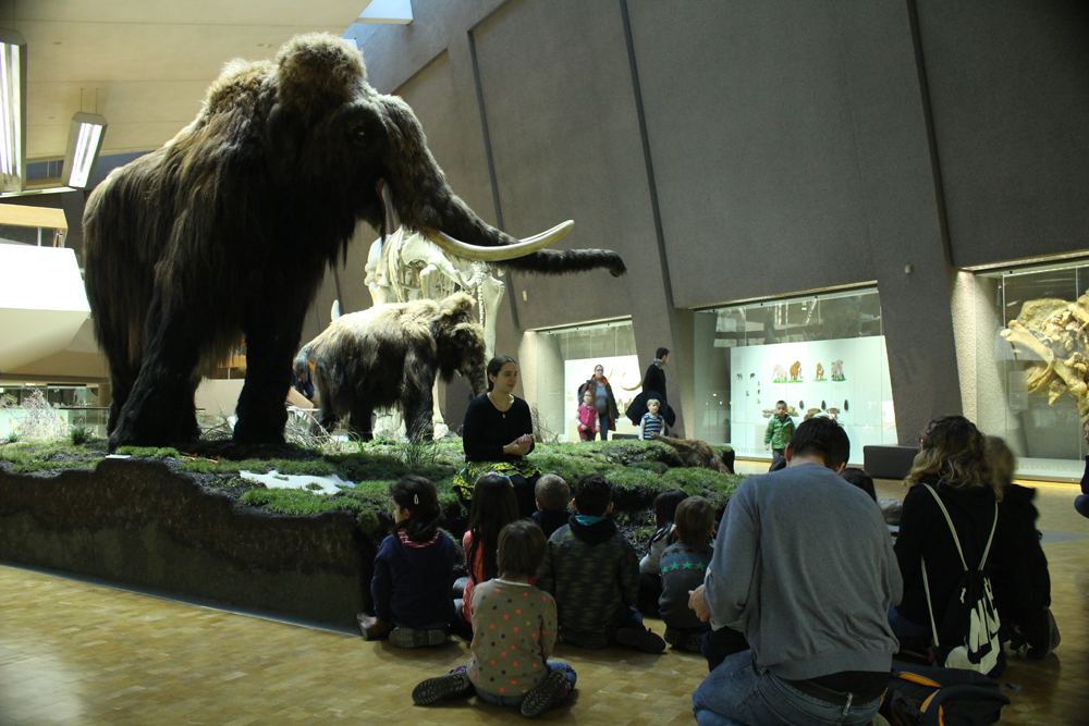 Konzeption und Durchf&Atilde;&frac14;hrung von F&Atilde;&frac14;hrungen im Museum am L&Atilde;&para;wentor, Staatliches Museum f&Atilde;&frac14;r Naturkunde Stuttgart, seit 2012 zu den Themen Saurier, Evolution, Geologie und Eiszeitalter f&Atilde;&frac14;r Vorschulkinder, Sch&Atilde;&frac14;ler aller Klassenstufen und Schularten, Auszubildende und Studenten, Kinderakademien, Menschen mit Behinderung, Deutschkurse, Erwachsenengruppen und Familien.